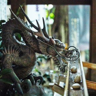 手水舎にある龍の水口。参拝前に心身を清める場所として、訪れる人々を静かに見守る
