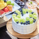 フレッシュケーキ