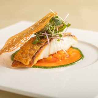 QUO5千円&フルコース試食招待券プレゼント