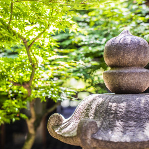 京の町並に密かに姿を現す母屋。庭園は見る者の心を惹きつける|京都祝言 SHU:GENの写真(53312786)