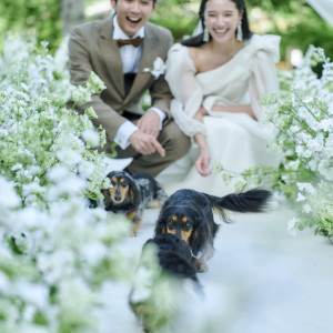 自然に囲まれたガーデン挙式では大切な家族、愛犬も一緒に。|ザ ジャクソン ガーデンの写真(54125619)