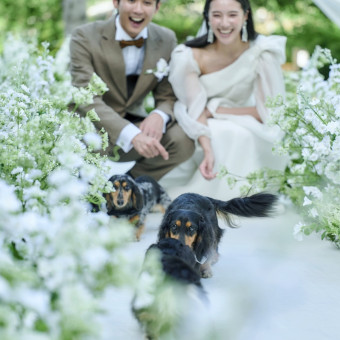 おふたりにとって大切な家族である愛犬も一緒に楽しめるウエディング。