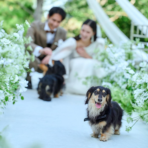 ザ ジャクソン ガーデン