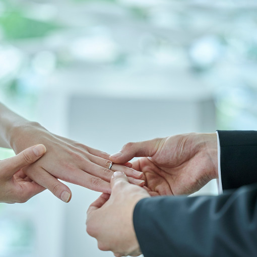 ザ ジャクソン ガーデン