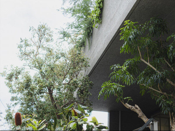 緑に囲まれたルーフトップテラス