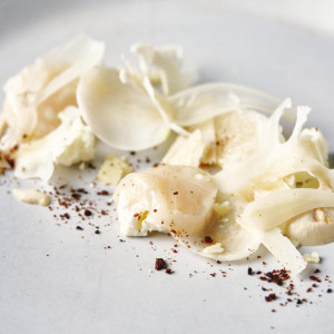 Kubelto｜クベルトの写真(56097519)