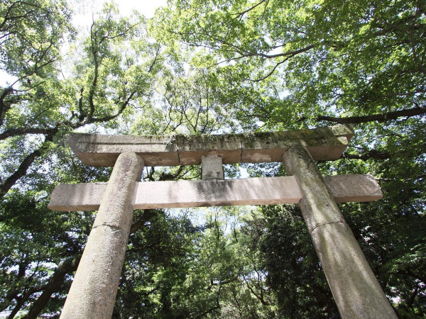 筑前國一之宮 住吉神社