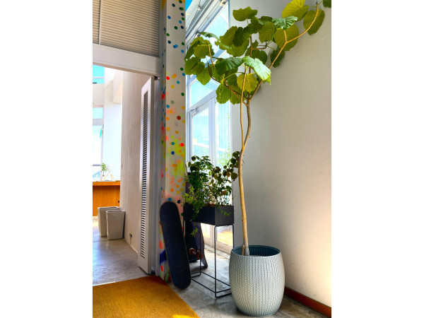 Restaurant Sola｜レストラン ソラ