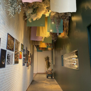 Restaurant Sola｜レストラン ソラの写真(55983829)