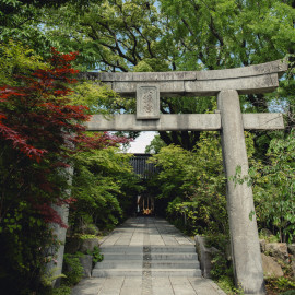 【神社挙式検討中のカップル向け】神社挙式提案付きフェア♪