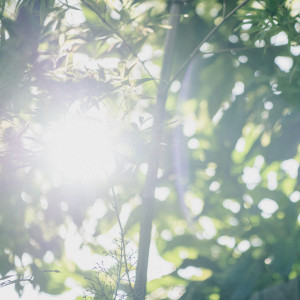 《24時間WEB受付中》★ご自宅からメール相談フェア★