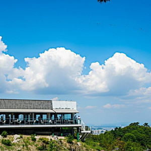 豊かな自然と絶景に包まれた特別なロケーションが最大の魅力|レストランMORIの写真(56356829)