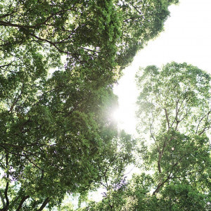 市街地の喧騒から離れた静かな森の中に位置するため、大自然ならではの清々しい空気と開放感に包まれながら、非日常的な時間をゲストと共に過ごせます。|レストランMORIの写真(56121596)