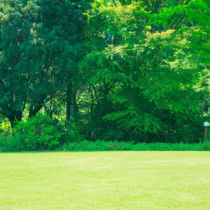 都会の喧騒を離れた森の中にあり、澄んだ空気と静寂に包まれながら、ゲストと共に非日常的な時間を過ごせます。|レストランMORIの写真(56356920)