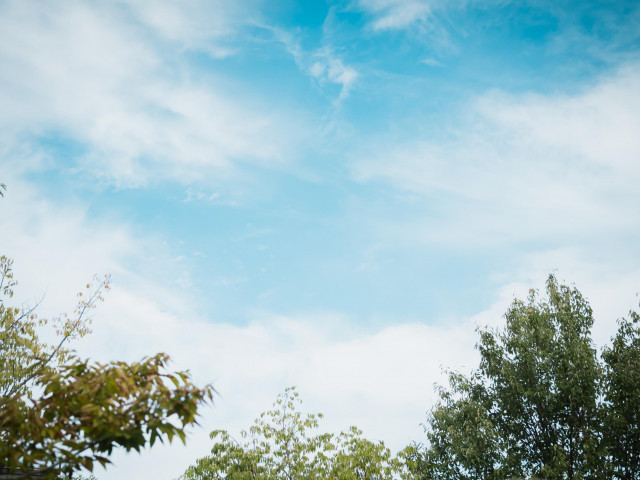 寄り添いお手伝いするウエディングコーディネーター