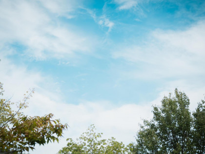 私達がレストランウエディングを
プロデュースする理由