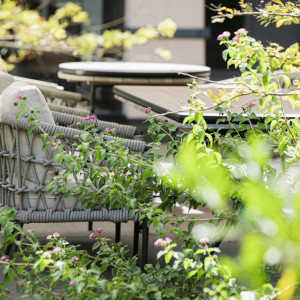 緑を感じて癒されて|グランド ハイアット 福岡の写真(54931282)