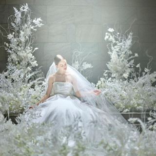 海外インポートドレスからオリジナルドレスまで、様々なブランドを取り扱い。