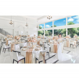 \毎月3組限定/25年2月リニューアルspecialフェア