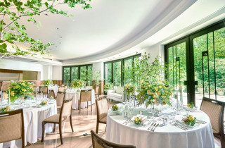 カリス|メーヤー・ライニンガーの写真(55593664)