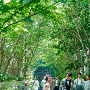 木漏れ日が差し込むグリーンアーチ|メーヤー・ライニンガーの写真(55494035)