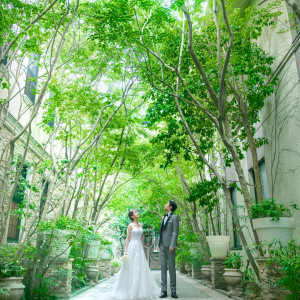 陽光が差し込むあたたかな緑溢れる空間|メーヤー・ライニンガーの写真(55067073)