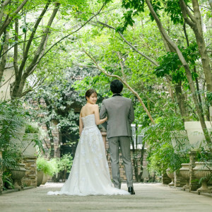 陽光が差し込むあたたかな緑溢れる空間|メーヤー・ライニンガーの写真(55067071)
