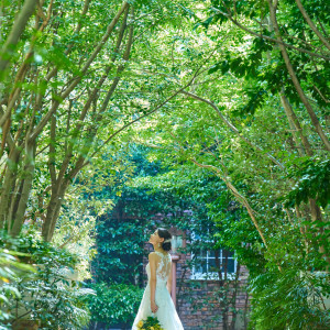 都心とは思えないほどの緑に包まれた1200坪の開放的な空間|メーヤー・ライニンガーの写真(55067122)