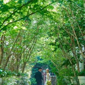 都心とは思えないほどの緑に包まれた1200坪の開放的な空間|メーヤー・ライニンガーの写真(55067121)