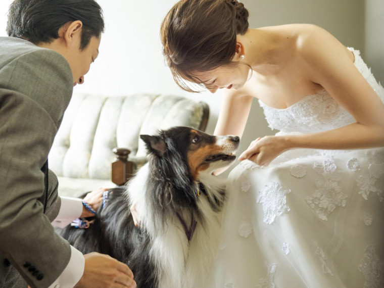 全館ペットOK！