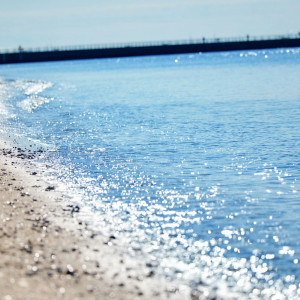 THE SURF SEASIDE TERRACE（ザ・サーフ シーサイドテラス）の写真(55955415)
