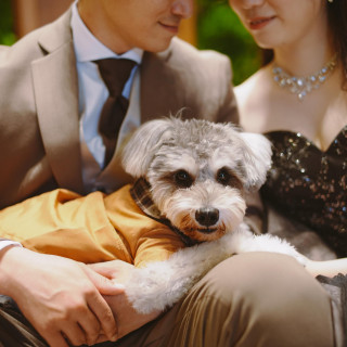 【ペット婚相談会♪】全館貸し切り贅沢見学会!豪華試食付き