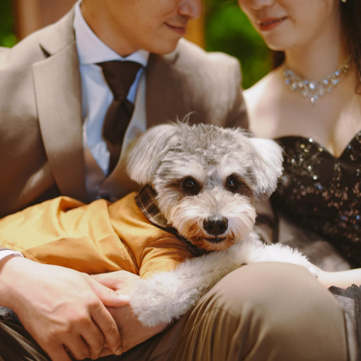 ザ・フォレストテラス北九州