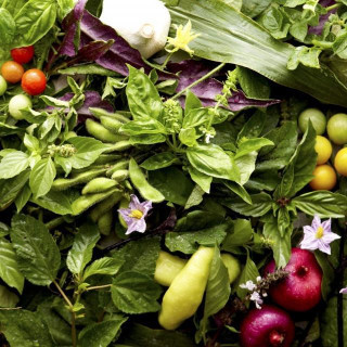 その時一番美味しく味わえる旬の食材を厳選して調理