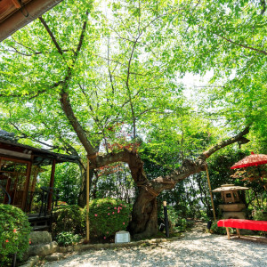 ・|北野異人館 旧ハンター邸の写真(55832034)