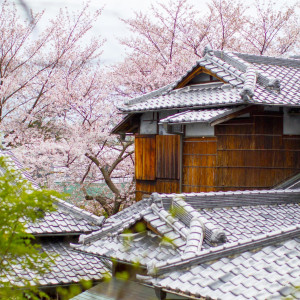 ・|北野異人館 旧ハンター邸の写真(55832031)