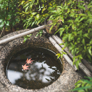 ・|北野異人館 旧ハンター邸の写真(55832016)