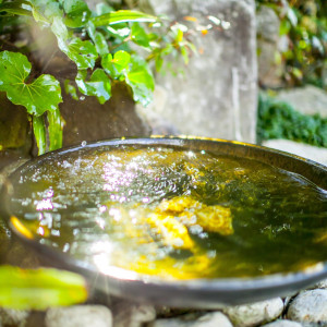 ・|北野異人館 旧ハンター邸の写真(55832024)