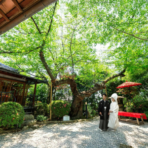 ・|北野異人館 旧ハンター邸の写真(55832029)