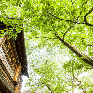 ・|北野異人館 旧ハンター邸の写真(55832026)