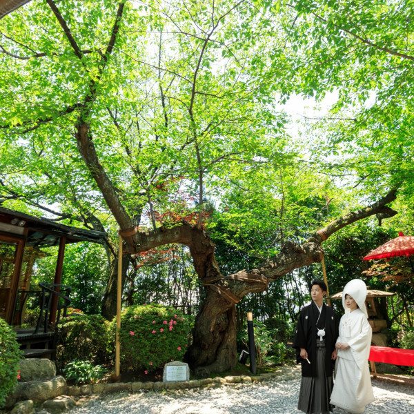 和の情緒と異国文化が交差する、唯一無二の異人館ウェディング。