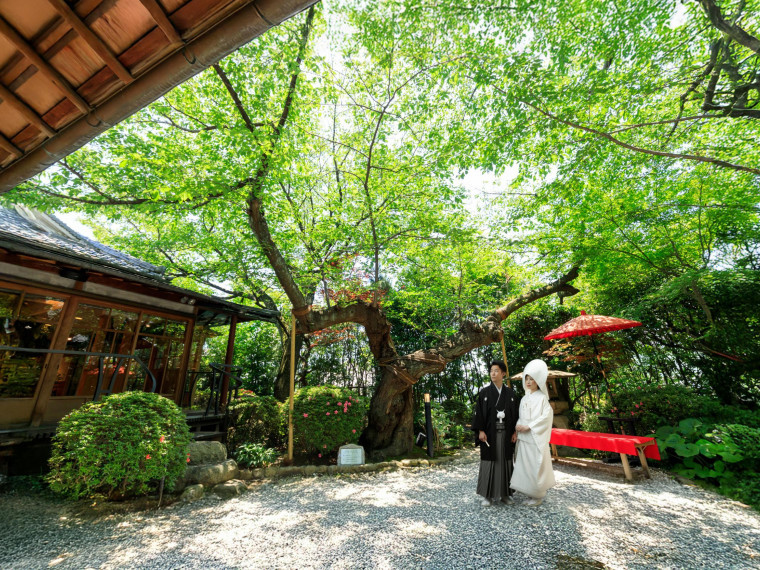 【三宮からすぐ】歴史ある和の異人館を貸切で過ごす一日。