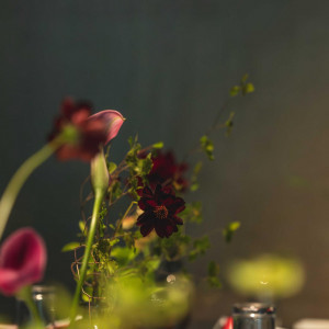 おふたりのご要望に合わせて、プロのコーディネーターがご提案させていただきます|御料理　万る山（国登録有形文化財）の写真(56587852)