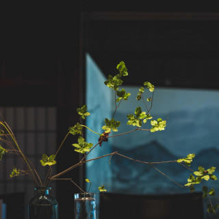 【オンライン相談会】ご自宅からお気軽に参加OK！