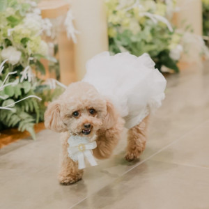 FRIGERIO(フリジェリオ)の写真(56921820)