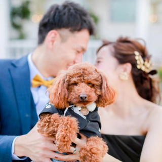 【ペット婚検討の方必見】大切なペットと作るオリジナルウェディング相談会