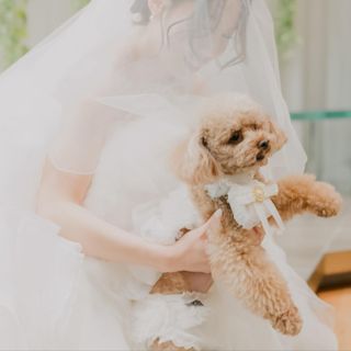 【愛犬も主役】美食×1軒屋貸切。ペットと彩る結婚式相談会