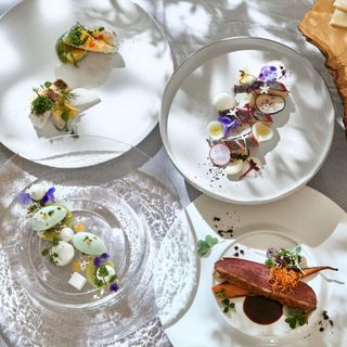 月1限定|GRAND OPEN記念*豪華コース試食×最大特典付きフェア