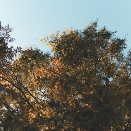 季節の彩りに包まれて、秋冬ならではの落ち着いた美しさを感じる一枚|ルーデンスガーデン東京の写真(58379869)