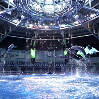 【来館特典】デートにも使える♪水族館ペアチケットをプレゼント